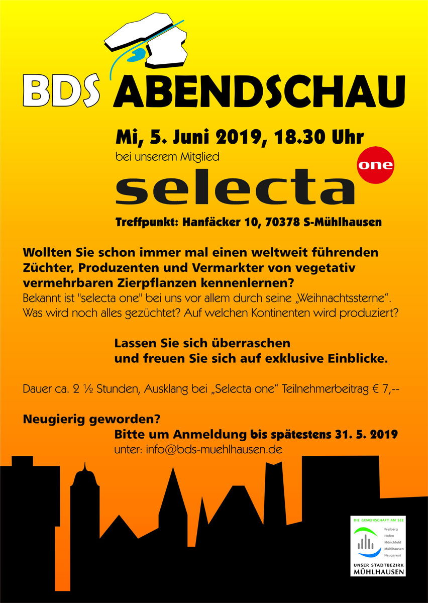 Plakat-BDS-Selecta-2019